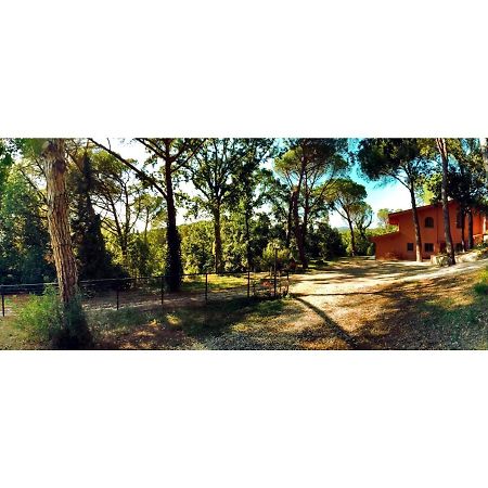 Agriturismo Poggio Al Pino Montelupo Fiorentino Eksteriør billede