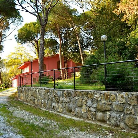 Agriturismo Poggio Al Pino Montelupo Fiorentino Eksteriør billede