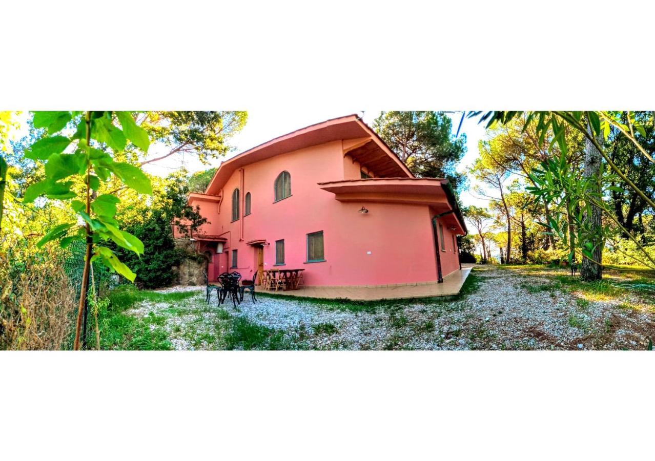Agriturismo Poggio Al Pino Montelupo Fiorentino Eksteriør billede