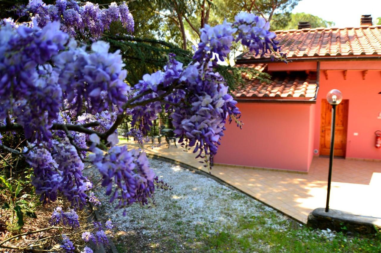 Agriturismo Poggio Al Pino Montelupo Fiorentino Eksteriør billede