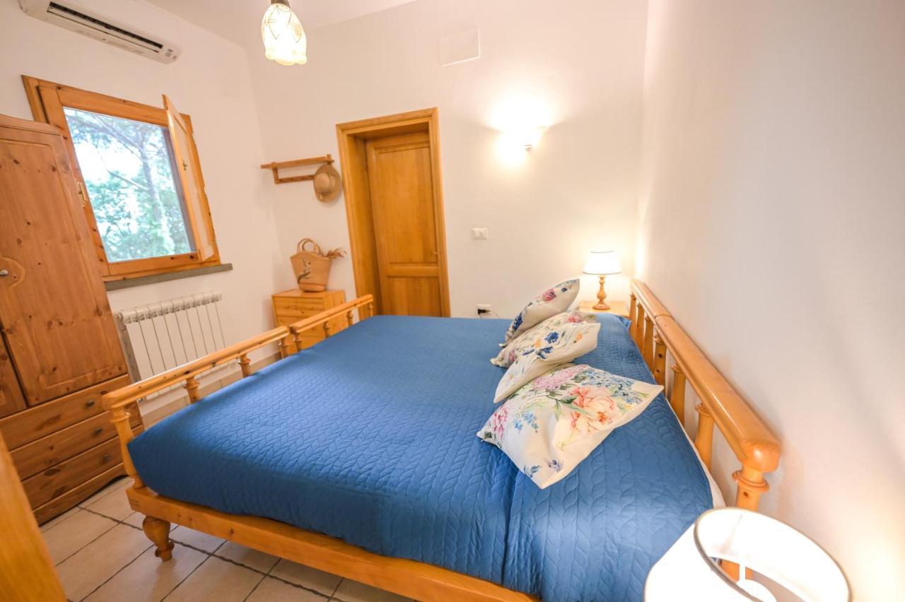 Agriturismo Poggio Al Pino Montelupo Fiorentino Eksteriør billede