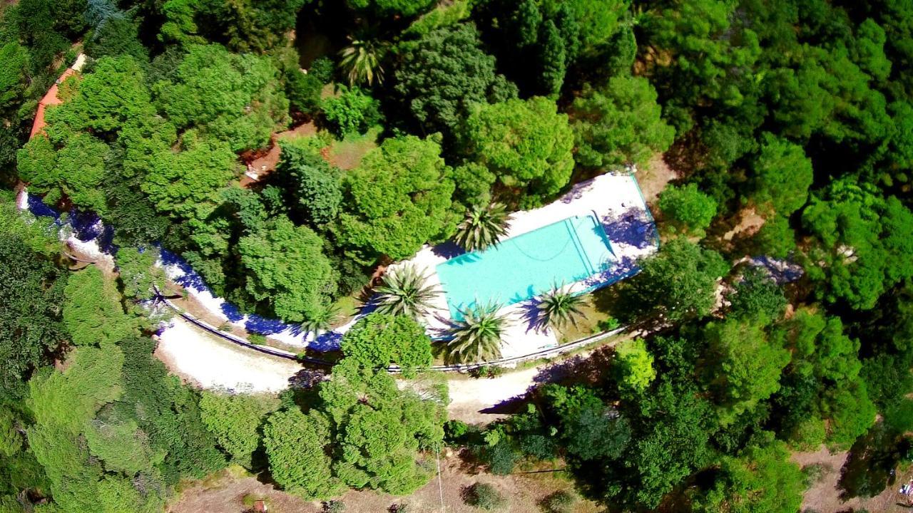 Agriturismo Poggio Al Pino Montelupo Fiorentino Eksteriør billede